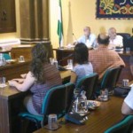 Momento del pleno extraordinario