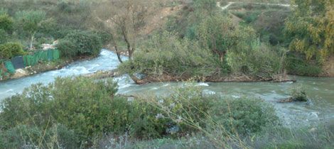 Río Ubrique y Arroyo de Barrida