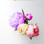 Abril Republicano 2018